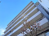 芝公園アパートメント 芝公園アパートメント3