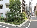 エルスタンザ文京湯島 エルスタンザ文京湯島6
