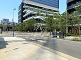 東京ポートシティ竹芝レジデンスタワー 東京ポートシティ竹芝レジデンスタワー11