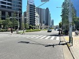 プレミストタワー白金高輪 プレミストタワー白金高輪11