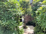 ディームス品川戸越2 共用部 物件画像3