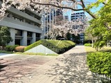 赤坂タワーレジデンストップオブザヒル 赤坂タワーレジデンストップオブザヒル10