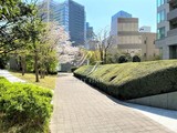 赤坂タワーレジデンストップオブザヒル 赤坂タワーレジデンストップオブザヒル14