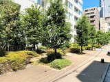 ホワイトタワー浜松町 ホワイトタワー浜松町13