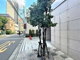 麻布十番レジデンス 麻布十番レジデンス11
