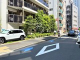 ベルビュー新橋 ベルビュー新橋8
