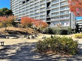 パークキューブ西ヶ原ステージ パークキューブ西ヶ原ステージ11