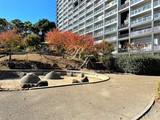 パークキューブ西ヶ原ステージ パークキューブ西ヶ原ステージ12
