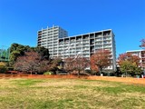 パークキューブ西ヶ原ステージ パークキューブ西ヶ原ステージ2