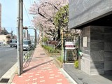 リルシア本所吾妻橋2 リルシア本所吾妻橋Ⅱ10