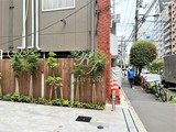 アルテシモリブラ アルテシモリブラ4