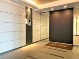 レックス白金 レックス白金11