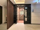 レックス白金 レックス白金16