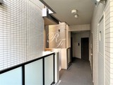 レックス白金 レックス白金19
