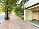 レックス白金 レックス白金4