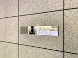 レックス白金 レックス白金8