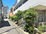 アーバネックス清澄白河 アーバネックス清澄白河14