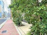 浅草田原町レジデンス 浅草田原町レジデンス8
