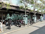 六本木デュープレックスエムズ 六本木デュープレックスエムズ14