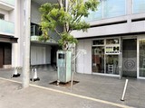六本木デュープレックスエムズ 六本木デュープレックスエムズ16