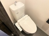 アルティオドマーニ アルティオドマーニ53