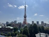 ウェリスタワー愛宕虎ノ門 3LDK以上