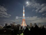 ウェリスタワー愛宕虎ノ門 3LDK以上
