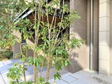 リブクオーレ神保町 リブクオーレ神保町11