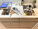 ブラウ東上野 ルフォンプログレ東上野53