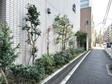エスレジデンス錦糸町パークサイド エスレジデンス錦糸町パークサイド6