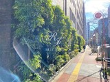 シティハウス東京新橋 シティハウス東京新橋9