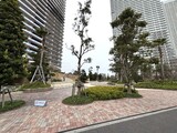 パークタワー晴海 敷地内。