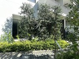早稲田アパートメント 早稲田アパートメント10