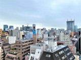 グランパセオ麻布十番 グランパセオ麻布十番40