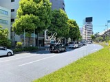 プリームス青柳 プリームス青柳15