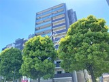 プリームス青柳 プリームス青柳2