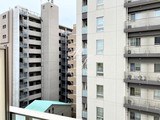 プリームス青柳 プリームス青柳100
