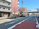 グランカーサ大森海岸 グランカーサ大森海岸6