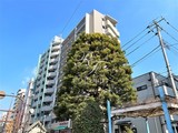 アーバネックス戸越 アーバネックス戸越3