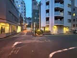 フリージアテラス 夕暮れ時の街路から見た建物エントランスと周辺の様子