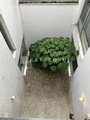 KDXレジデンス自由が丘 白いタイル壁と砂利敷きに緑の植栽があるモダンな中庭空間