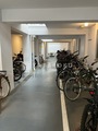 KDXレジデンス自由が丘 多くの自転車が整然と停められた広めの駐輪スペース