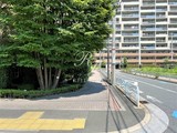 プライムアーバン豊洲 プライムアーバン豊洲17