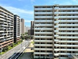 プライムアーバン豊洲 1DK・1LDK 物件画像20