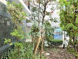 シティスパイア蔵前 シティスパイア蔵前11