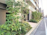 プライマル錦糸町 プライマル錦糸町6