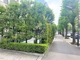 プライムアーバン本駒込 プライムアーバン本駒込9