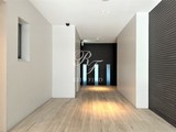 エルスタンザ清澄白河 エルスタンザ清澄白河19