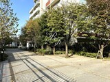 ブリリアイスト三軒茶屋 ブリリアイスト三軒茶屋のイメージ写真⑬