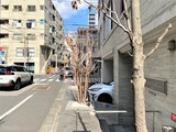 ハイリーフ上野 ハイリーフ上野12
